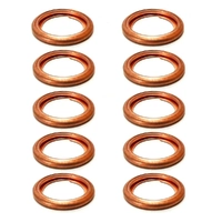 Discovery 10 x Sump Plug Washer for Land Rover Range Rover 200Tdi 213961L