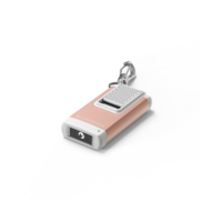 K4R Rechargeable Key Ring Lamp Rose Gold