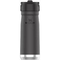 Stanley The IceFlow Flip Straw Water Bottle Charcol 22Oz