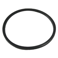 Fuel Filter BOTTOM Seal for Land Rover Discovery 1 300Tdi AAU9902