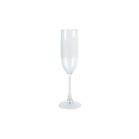 Tritan Champagne Flute 145ml Wildtrak CA1158