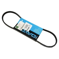 DAYCO Power Steering Belt for Land Rover Freelander 1 1.8L Petrol CDU2160