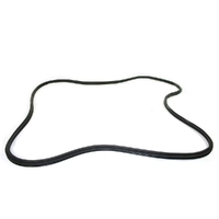 Rear Door Seal suits Land Rover Discovery 2 CKE101000