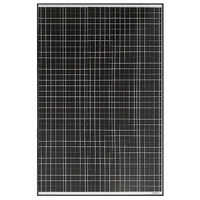 The Bush Company 215W Monocrystalline PERC Solar Panel with Black Frame CT-215B