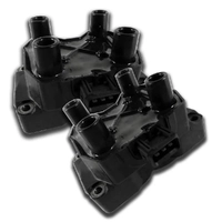 Ignition Coil Pack Pair for Land Rover Discovery 2 V8 ERR6566/ERR6045