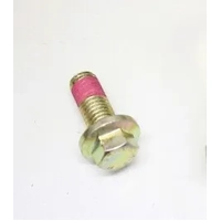 FS112301P  Flange Head Screw - Metric - 12 X 30MM