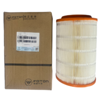 Foton Air Filter Element Assembly