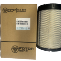 Foton Air Filter Cartridge L1119019010A0