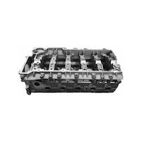 AMC Cylinder Head with Valves for Land Rover Discovery Defender TD5 LDF500170