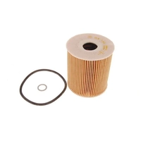 Oil Filter 3.0L Diesel Range Rover L322 TD6 2002-06 LPZ000020 Aftermarket