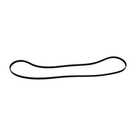 OEM Primary Drive belt for Range Rover L322 4.4L V8 LR022803