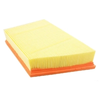 Air Filter Element Range Rover Evoque 2.2L Diesel 2011 On LR029078 Genuine 