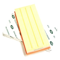 Genuine for Land Rover Range Rover Air Filter L322 2006-2009 PHE500021