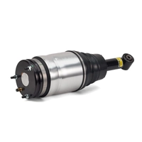 Rear Shock Absorber and Air Bag Assembly Range Rover Sport 05> RPD501100
