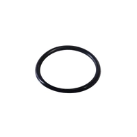 Aftermarket Power Steering Pump O-Ring for Discovery 1 Defender RRC RTC6075