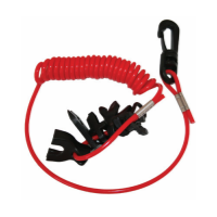 Kill Switch Keys & lanyard