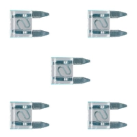 THUNDER 5x MINI Blade Fuse 25A White TDR05025