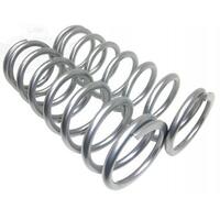 Terrafirma Coil Springs Front Heavy for Load Land Rover Discovery 2 TF052