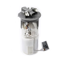 OEM Fuel Pump In Tank for Land Rover Freelander 1 TD4 2001-2002 WFX500070G